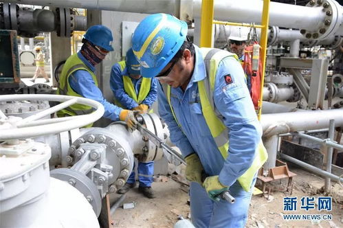 攜手共進，開創未來 科威特王子與中國伙伴的戰略合作探索