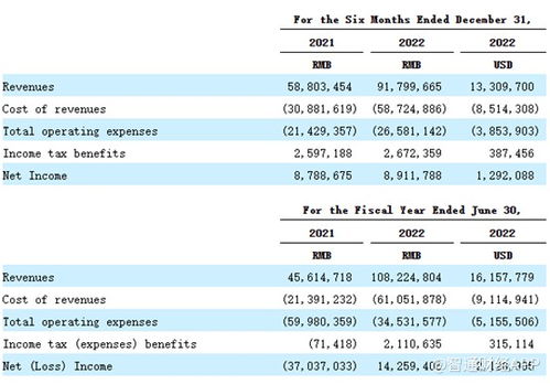 重銷售輕研發，致保科技赴美IPO成長性迎考，單一業務依賴風險凸顯