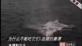 巢湖學院 學貫江淮，筑夢前行